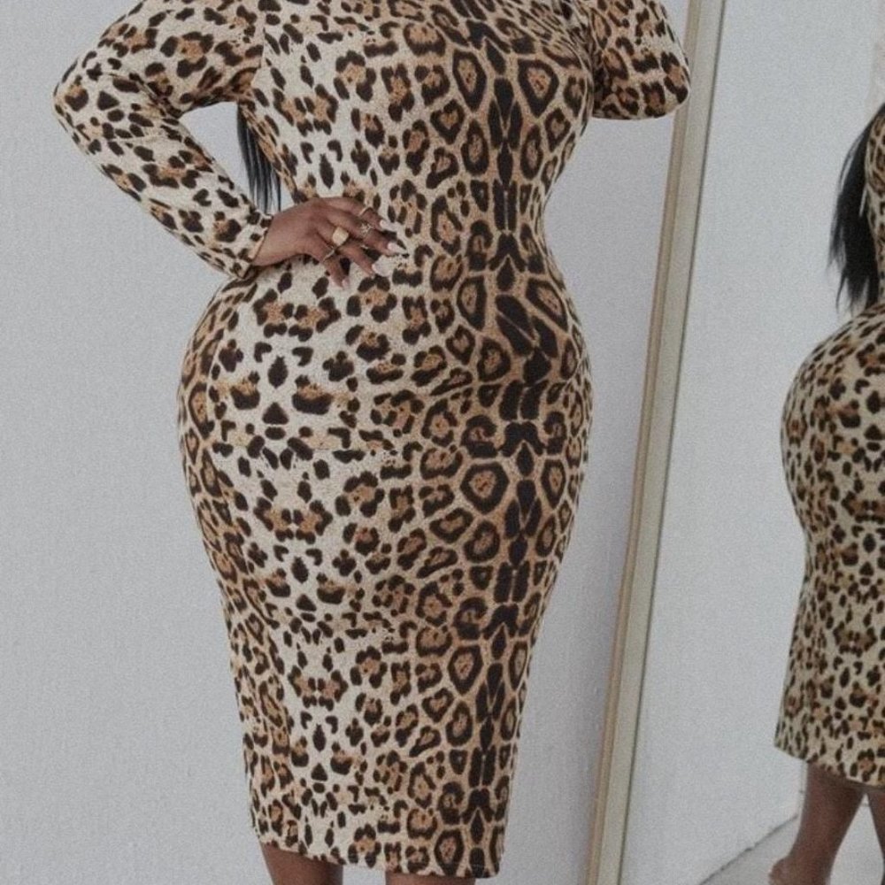 LEOPARD Skin Bodycon Dress In (XL)